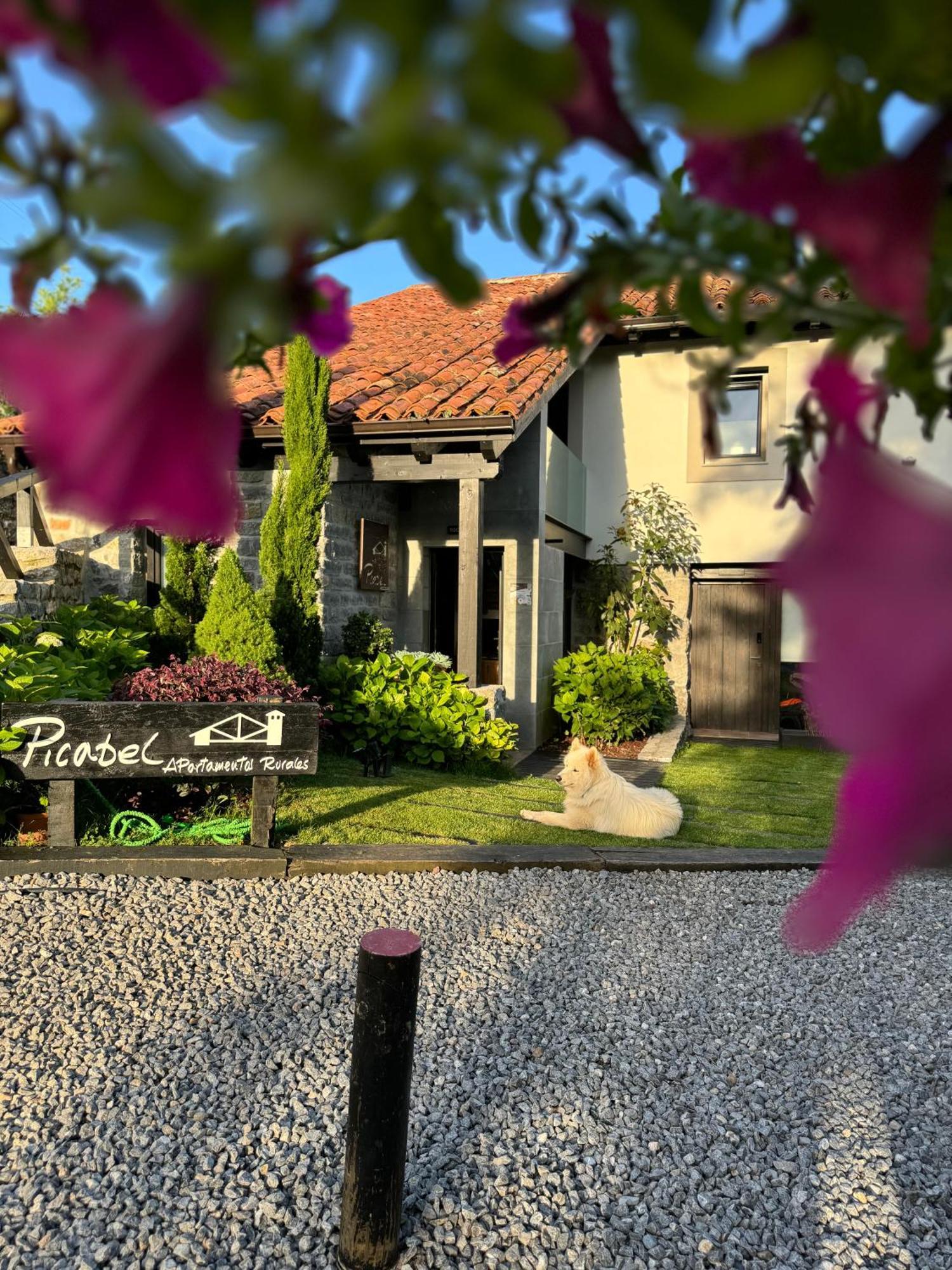 Apartamentos Picabel Onís Εξωτερικό φωτογραφία